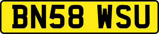 BN58WSU