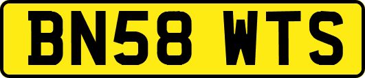 BN58WTS