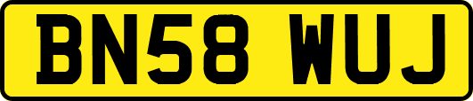 BN58WUJ