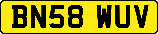 BN58WUV