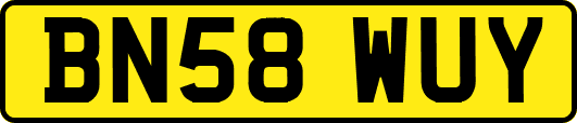 BN58WUY