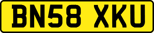 BN58XKU