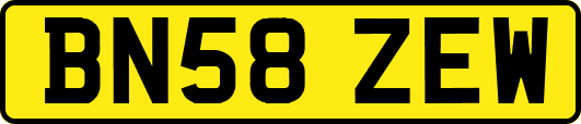 BN58ZEW