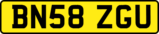 BN58ZGU
