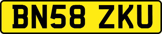 BN58ZKU