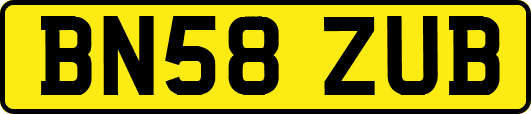 BN58ZUB
