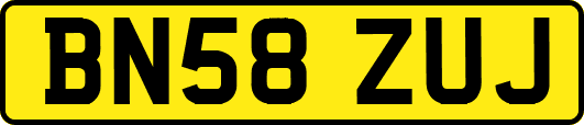 BN58ZUJ