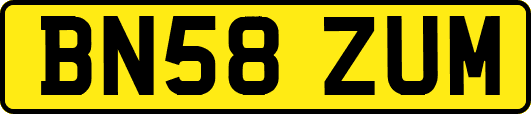 BN58ZUM