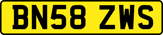 BN58ZWS