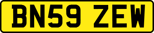 BN59ZEW