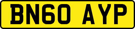 BN60AYP