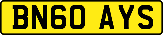 BN60AYS