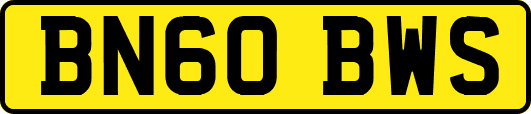 BN60BWS