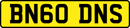 BN60DNS