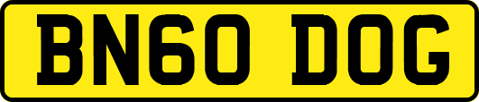 BN60DOG