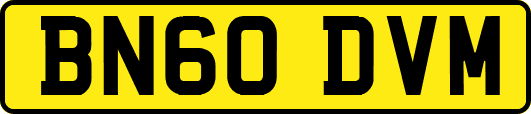 BN60DVM