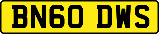 BN60DWS