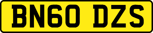 BN60DZS