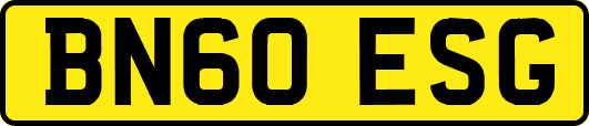 BN60ESG