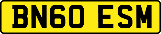 BN60ESM