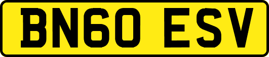 BN60ESV