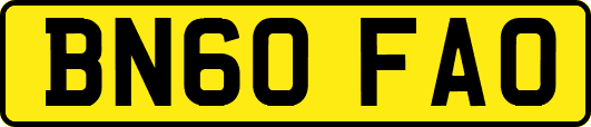 BN60FAO