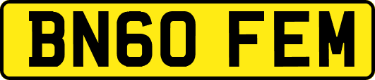 BN60FEM
