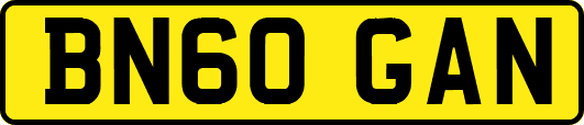 BN60GAN