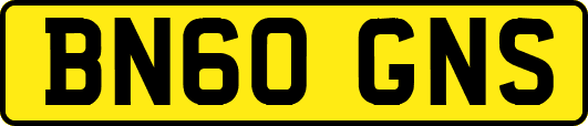BN60GNS