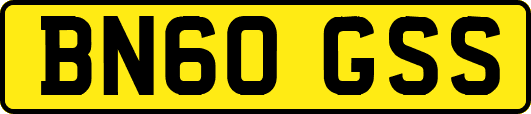 BN60GSS