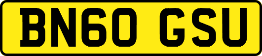 BN60GSU
