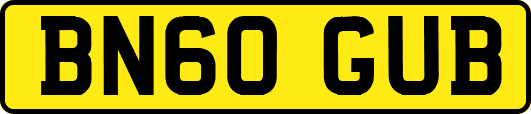 BN60GUB