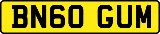 BN60GUM