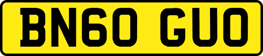 BN60GUO