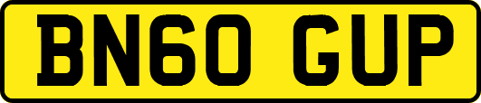 BN60GUP