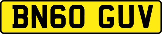 BN60GUV