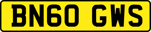 BN60GWS