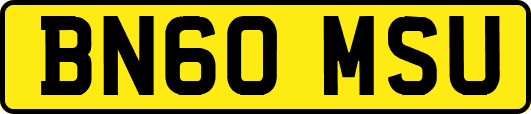 BN60MSU