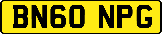 BN60NPG