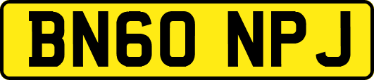 BN60NPJ