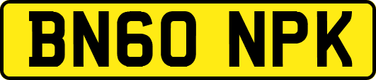 BN60NPK