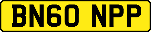 BN60NPP