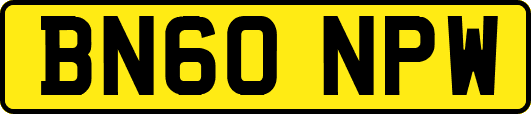 BN60NPW