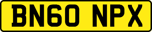 BN60NPX