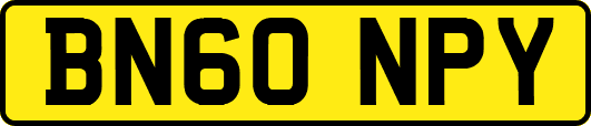 BN60NPY