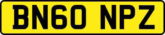 BN60NPZ