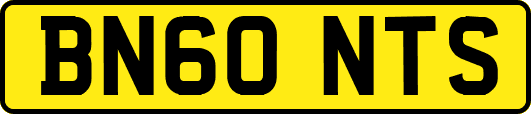 BN60NTS