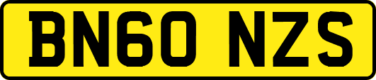 BN60NZS