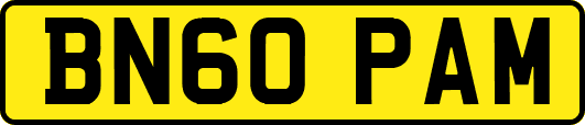 BN60PAM