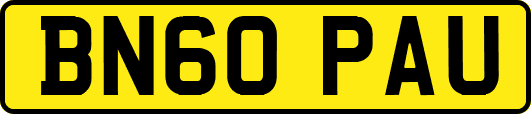 BN60PAU
